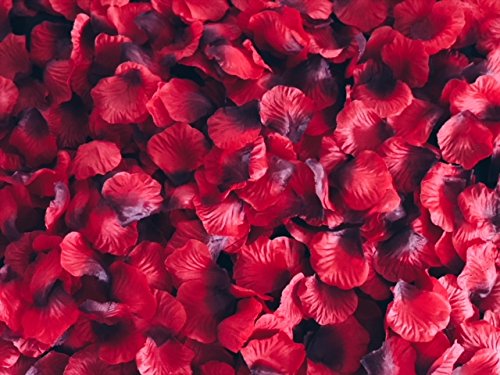 red rose petals for romantic night or proposal decorations