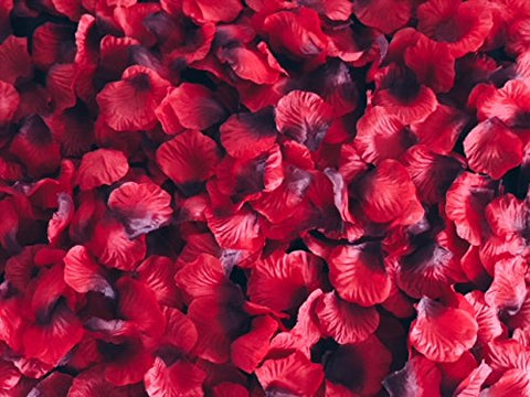 Image of red rose petals for romantic night or proposal decorations