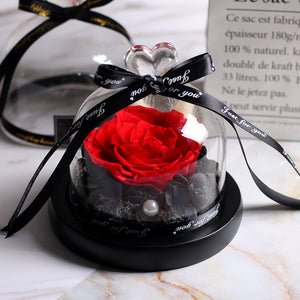 eternal rose under glass dome romantic rose gift