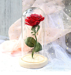 Beauty and the Beast Illuminated Rose Gift