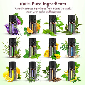 Set of 12 Assorted Essential Oils