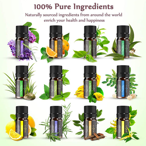 Image of Set of 12 Assorted Essential Oils