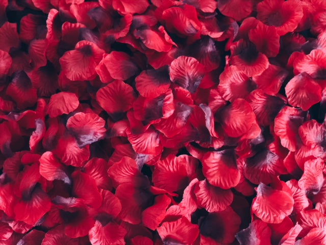silk red rose petals in bulk for proposal weddings anniversary