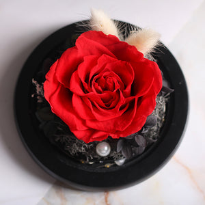 Stemless Eternal Rose Under a Glass Dome