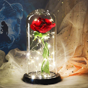 beauty and the beast rose in a glass dome